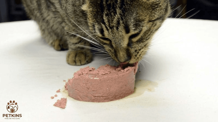 pate mèo
