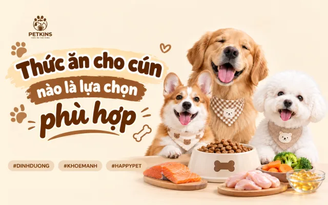 Thức ăn cho cún nào là lựa chọn phù hợp giúp cún khỏe mạnh?