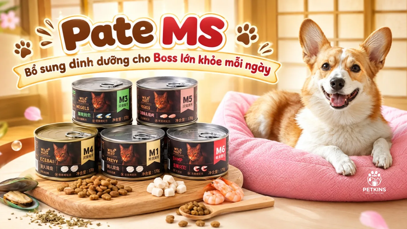 Pate Ms cho chó mèo