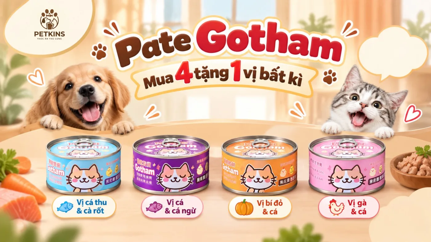 Pate Gotham nhà Petkins