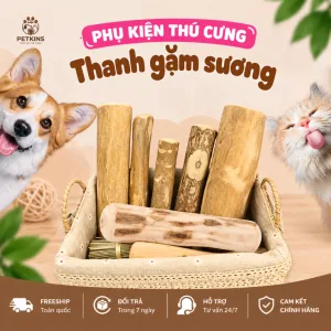 Thanh găm xương 6