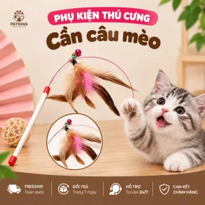 Cần câu mèo 1